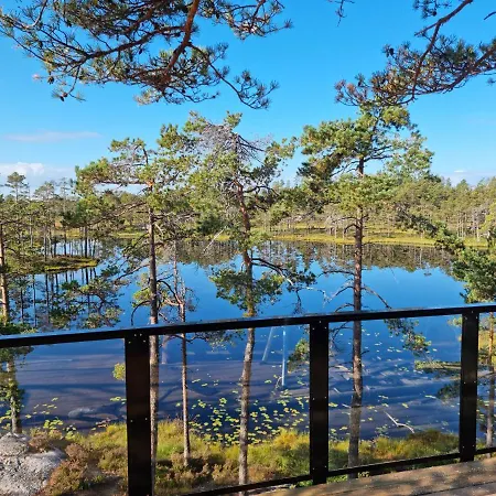 Tree Panorama Lodge