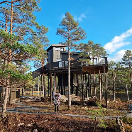 Tree Panorama Lodge